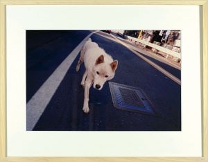 奈良美智「写真 白い犬」