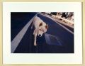 Photo : White Dog