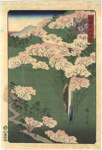 諸国名所百景　大和よし野山
