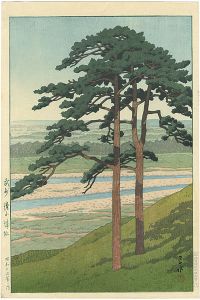 武州　滝山城址
