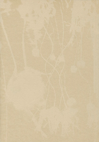「大森澪銅版画集 ミィレフィオーリ／千々の花」石川翠／言水ヘリオ編