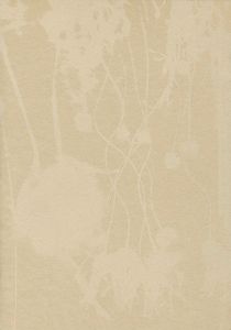 「大森澪銅版画集 ミィレフィオーリ／千々の花」石川翠／言水ヘリオ編