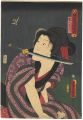 Toyokuni Manga Zue (Illustrati......