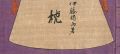 画集 枕