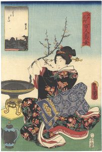 Toyokuni III / Kunihisa / Famous Places in Edo Compared with 100 Beauties / Surugadai [江戸名所百人美女　するがだい]