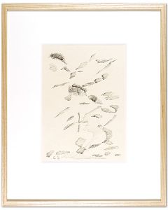Ei-Q / Drawing