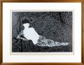 Nude in Black-Rose Lace 1