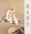 KANSETSU HASHIMOTO