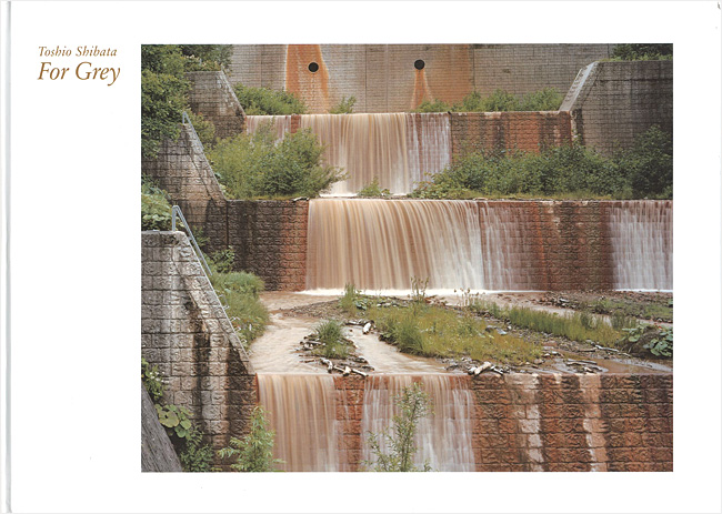“Toshio Shibata：For Grey” 柴田敏雄