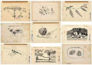 福田豊四郎「自筆画稿」
