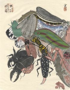 Tsuruya Kokei / Five Subjects Dedicated to Arcimboldo / Insect