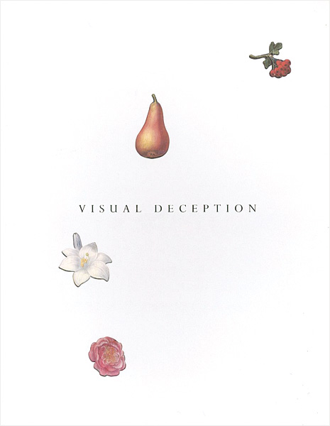 “VISUAL DECEPTION” 