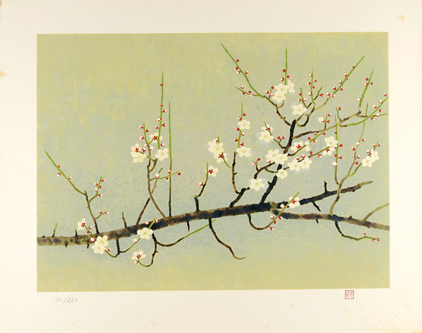 山口華揚「白梅」