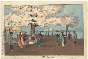 清親「向嶋櫻」