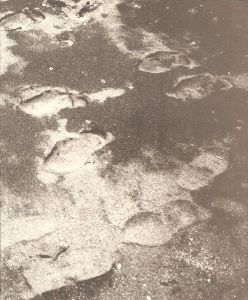 「A WALKING MAN-OKUBO  歩く人-大久保英治」