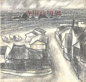 「寺田政明展」