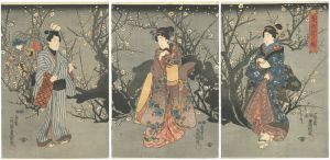 春色花の魁