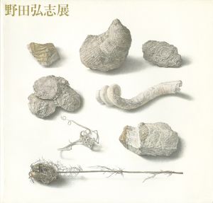 「明晰なる神秘 野田弘志展」