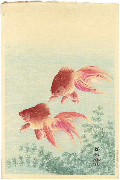 小原古邨（祥邨）「金魚」