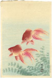 小原古邨（祥邨）「金魚」