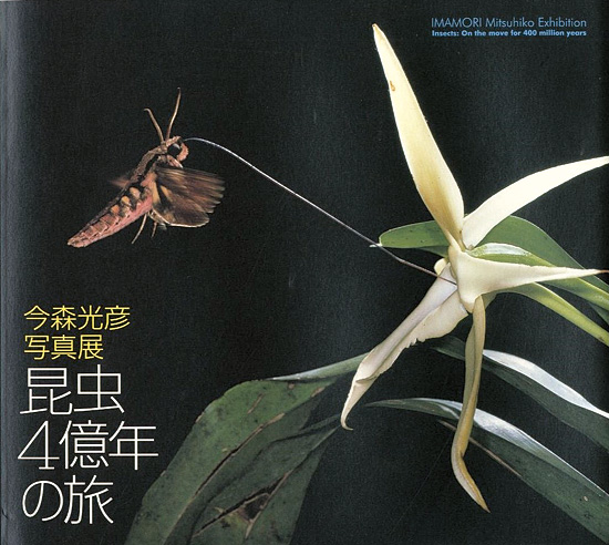「今森光彦写真展 昆虫4億年の旅」