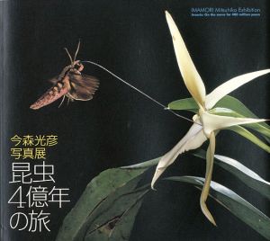 「今森光彦写真展 昆虫4億年の旅」