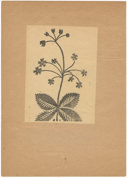 奥田輝一郎「花」
