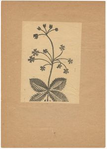 奥田輝一郎「花」