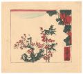 Red-Blossomed Plum Tree