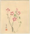 Flowers (tentative title)