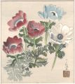 Flowers (tentative title)
