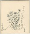 Shikishi