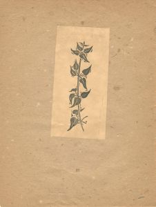 小川龍彦「あかね草」
