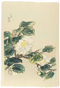 琴塚英一「白椿」