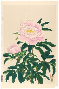 芍薬