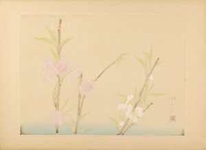 登内微笑「新進花鳥画集より」