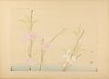 from New Flowers-and-birds dra......