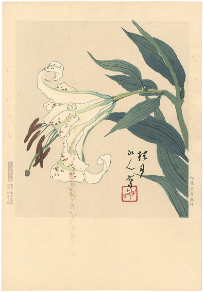 松林桂月「百合（仮題）」