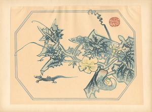 琴塚英一「ヘチマ（仮題）」