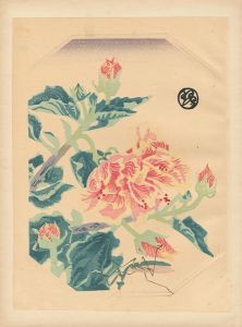 琴塚英一「花（仮題）」