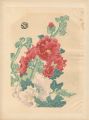花（仮題）