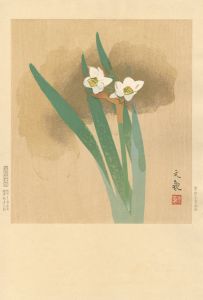 常岡文亀「水仙（仮題）」