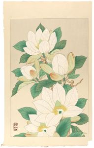 作者不詳「木蓮（仮題）」
