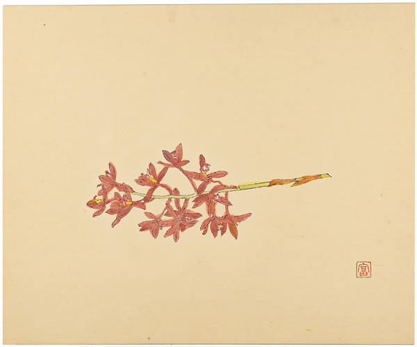 富本憲吉「蘭花」