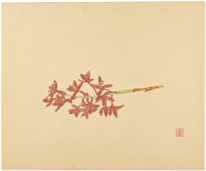 富本憲吉「蘭花」