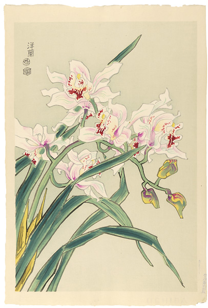 琴塚英一「洋蘭」