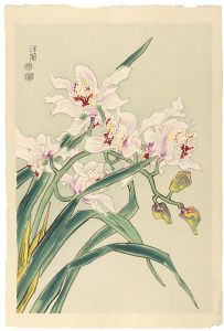 琴塚英一「洋蘭」