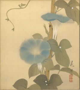 Kamoshita Choko / 自筆色紙　朝顔