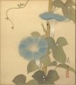 自筆色紙　朝顔