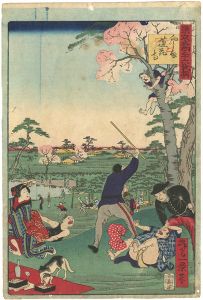 東京名所三十六戯撰　向しま蓮花寺